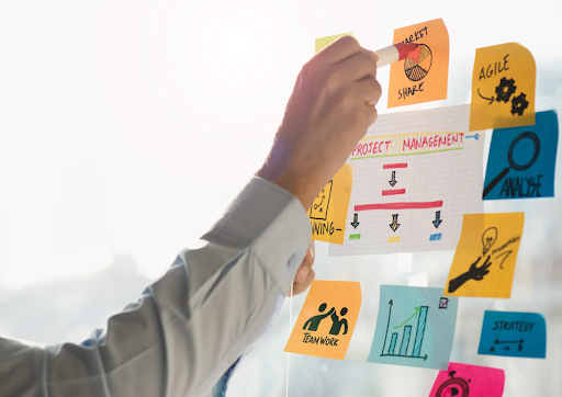 Project management and quality assurance